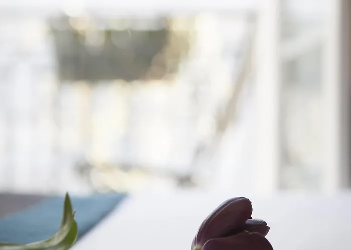 La Manufacture מלון פריז